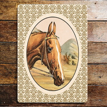 Metal sign Horse Head Portrait