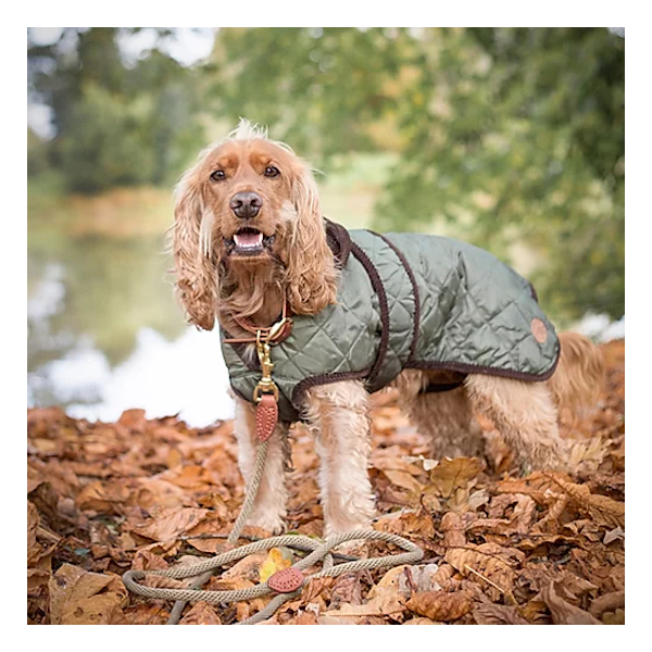Dog Lead Country Pet Rope - 2