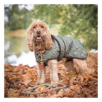 Dog Lead Country Pet Rope