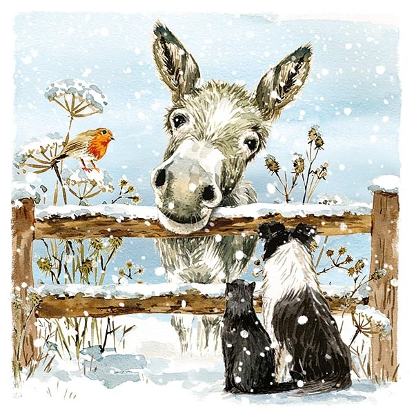 Christmas Card Otter House Dog Motif Donkey And Friends 10-pack