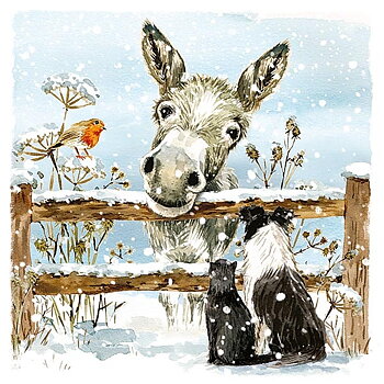 Christmas Card Otter House Dog Motif Donkey And Friends 10-pack