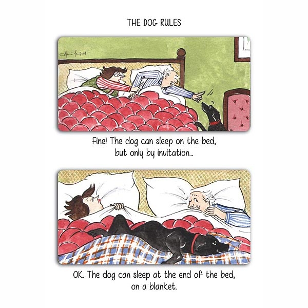 Kort Otter House Tottering By Gently The Dog Rules