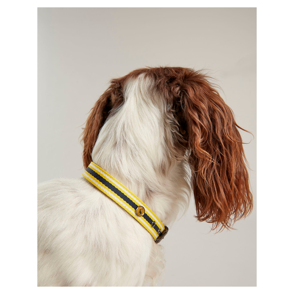 Hundhalsband Joules Coastal Navy - 3