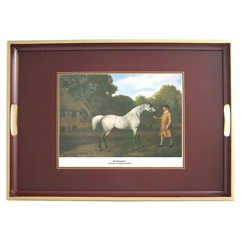 Bricka Lady Clare Race Horse