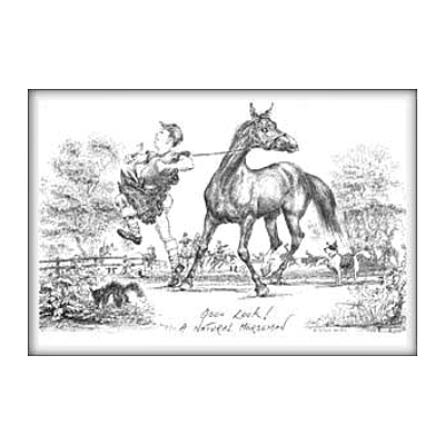 Greeting Card Jude Too Horse Motif A Natural Horseman