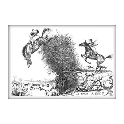 Greeting Card Jude Too Horse Motif Is There a Ditch?