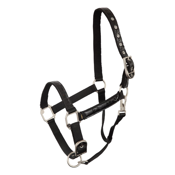 Halter BR Bieman de Haas Croco Lacquer Black