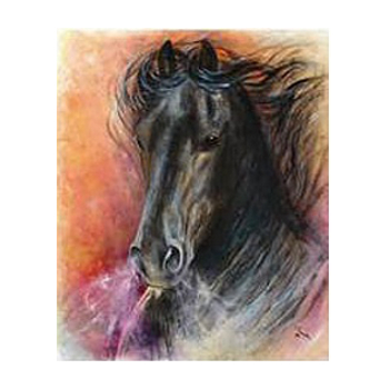 Card Diane Hennchen Fiery Black