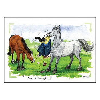 Card Otter House Horse Motif Alisons Animals Nope No Polos Yet