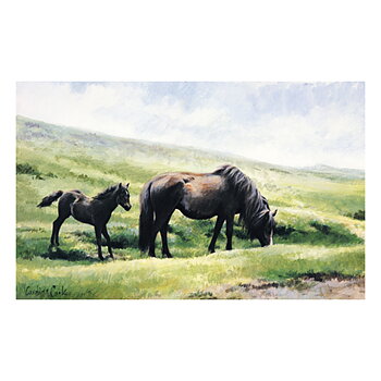 Greeting Card Caroline Cook Horse Motif Dartmoor Ponies