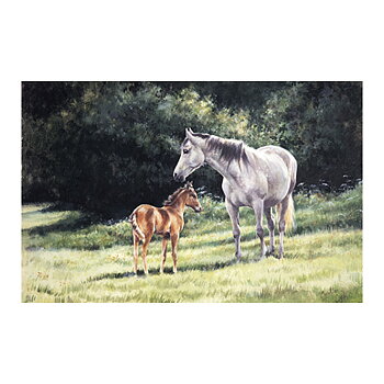Greeting Card Caroline Cook Horse Motif The Watchful Mother
