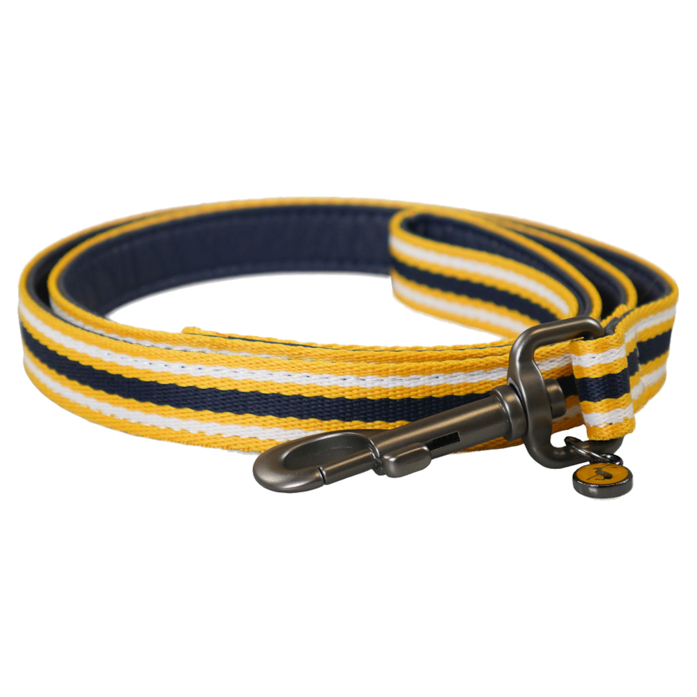 Dog Lead Joules Coastal Navy