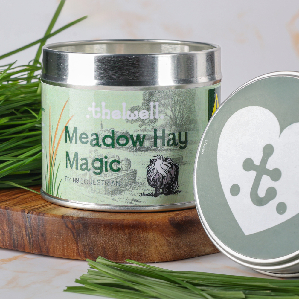 Doftljus Thelwell Meadow Hay Magic