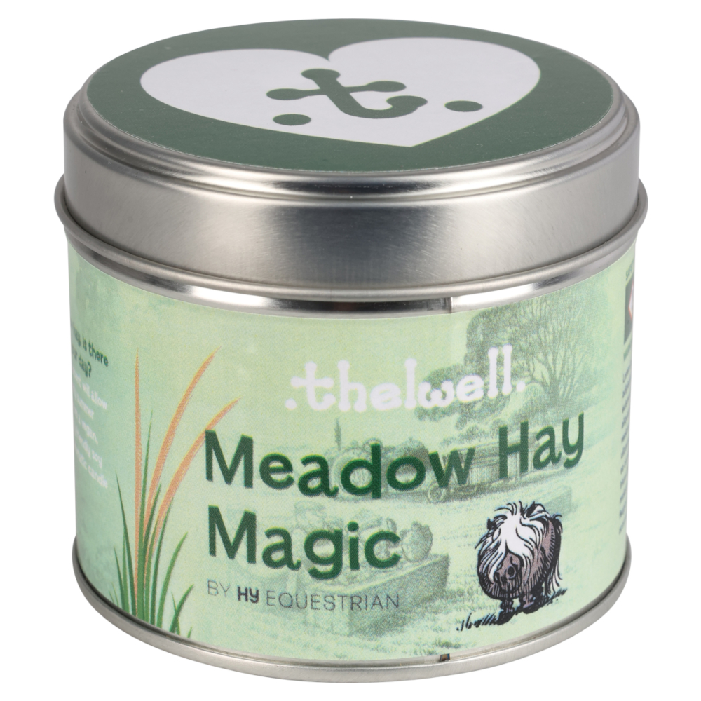 Doftljus Thelwell Meadow Hay Magic - 2