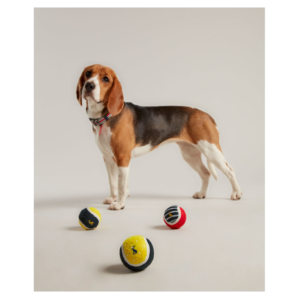 Hundleksak Joules Bollar 3-Pack - 3
