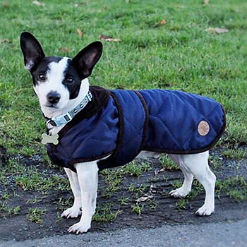 Dog Coat Country Pet Quilted Navy