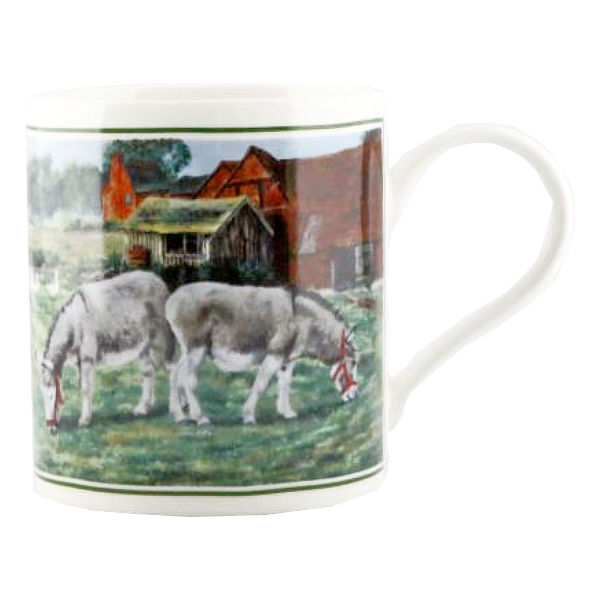 Mugg Åsnor