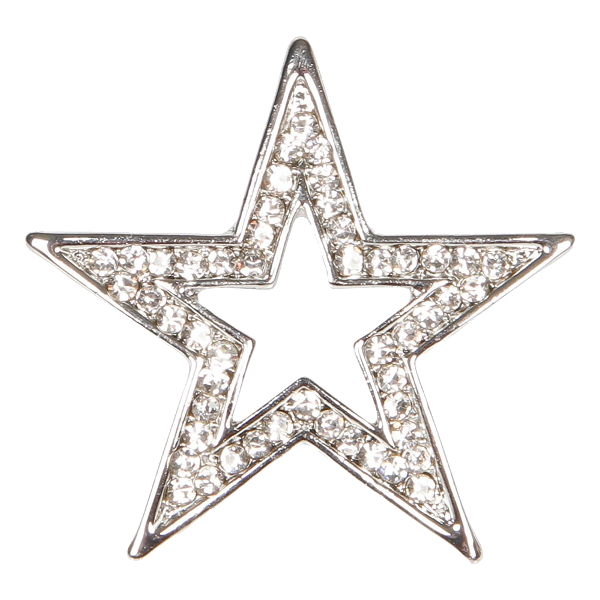 Stock Pin Harrys Horse Star