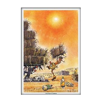 Greeting Card Jude Too Horse Motif Lazy Summerdays
