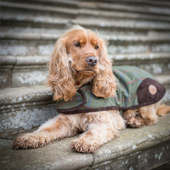 Dog Coat Country Pet Tweed - 2