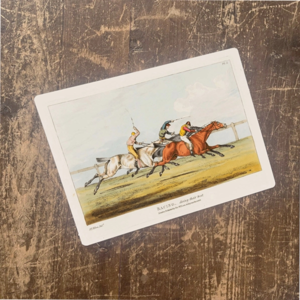 Metal Sign British Horseracing
