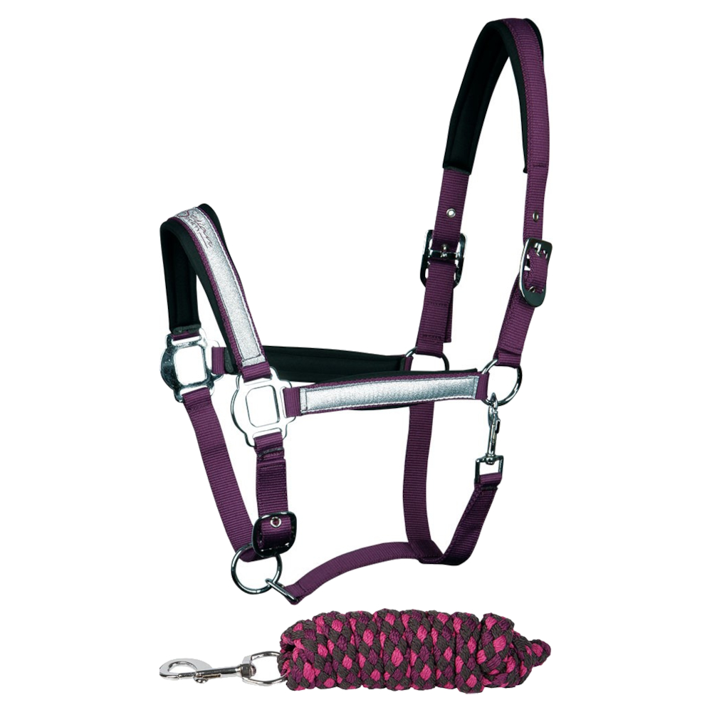 Headcollar Set Harrys Horse Glitter Gloxinia