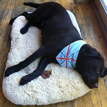 Dog Bed Country Pet Fleece