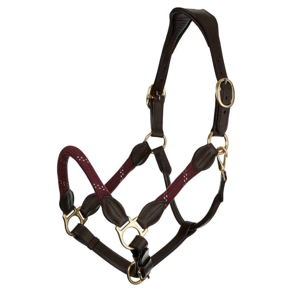 Headcollar LeMieux Lasso Burgundy