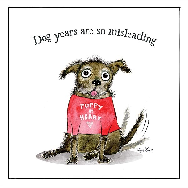 Kort Otter House Hundmotiv Dog Years