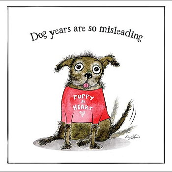 Kort Otter House Hundmotiv Dog Years