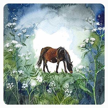 Coaster Alex Clark Horse Motif Horse And Flowers