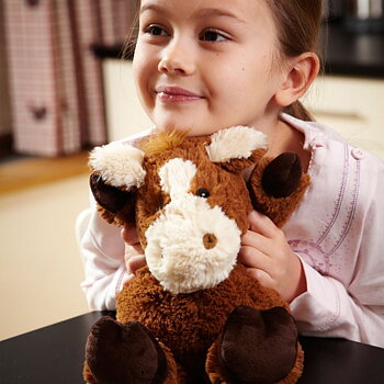 Toys & Craft