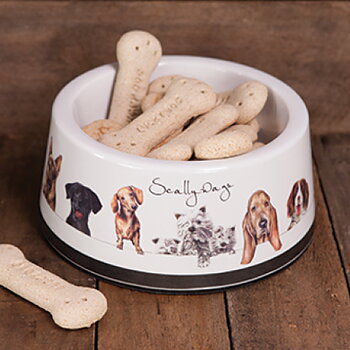 Dog Bowls