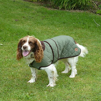 Dog Coats