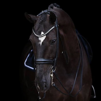 Double Bridles