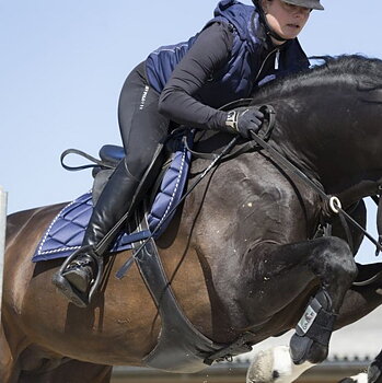 Saddle Pads Showjumping