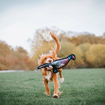 Dog Toys