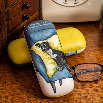 Sun Glasses & Glasses Cases