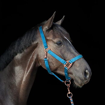 Headcollars