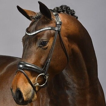 Bridles