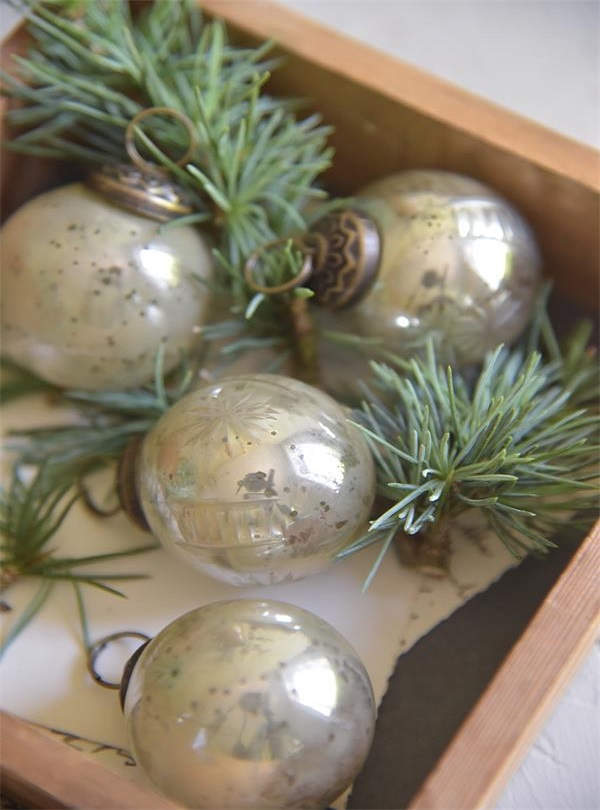 LITEN JULGRANSKULA - 2