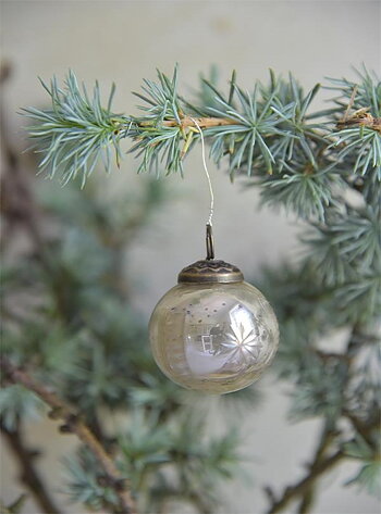 LITEN JULGRANSKULA