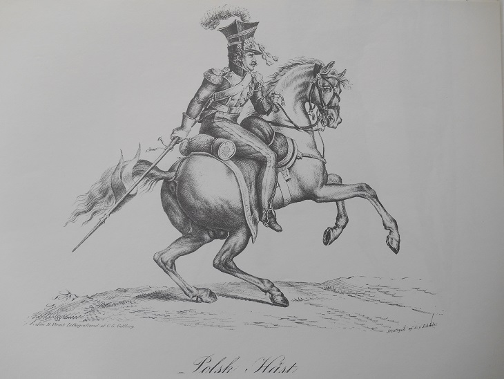 POLSK HÄST - VERNET - 2