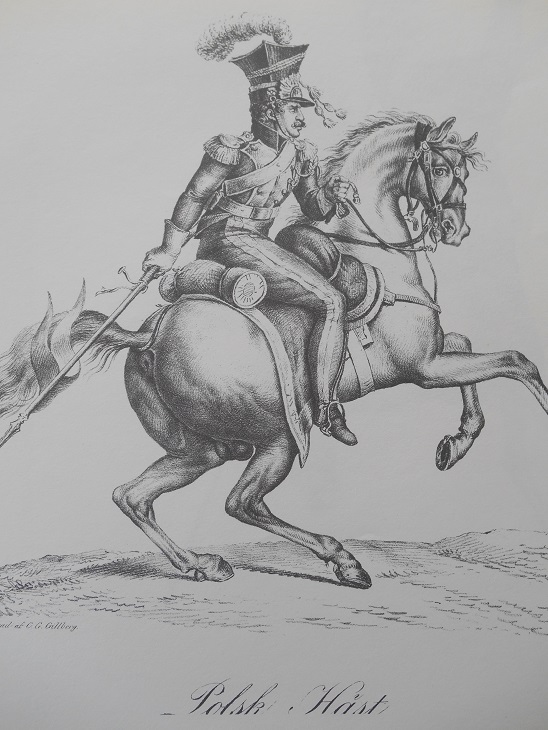 POLSK HÄST - VERNET