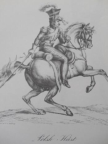 POLSK HÄST - VERNET