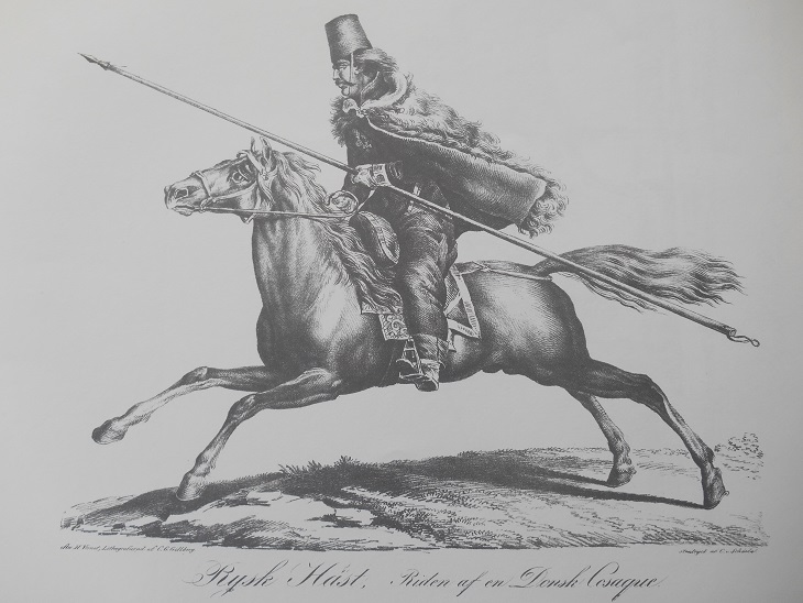 RYSK HÄST - VERNET - 2