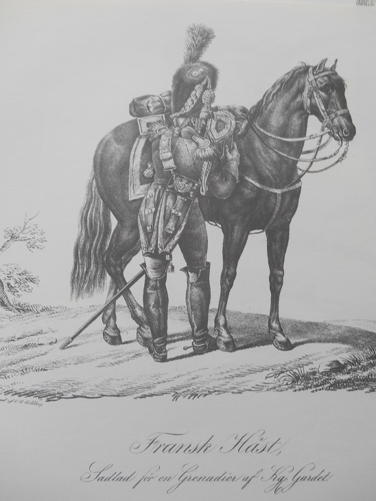 FRANSK HÄST - VERNET