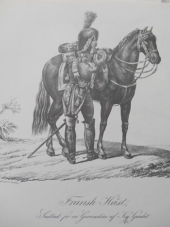 FRANSK HÄST - VERNET