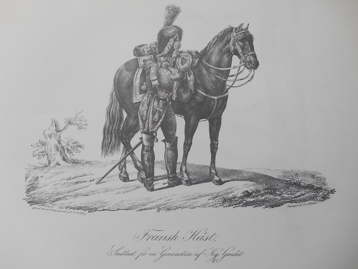 FRANSK HÄST - VERNET - 2