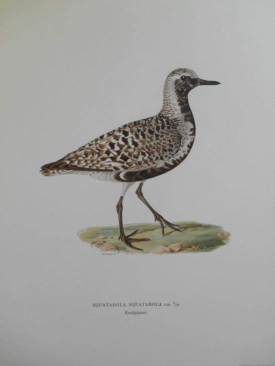 KUSTPIPARE - VON WRIGHT - 2